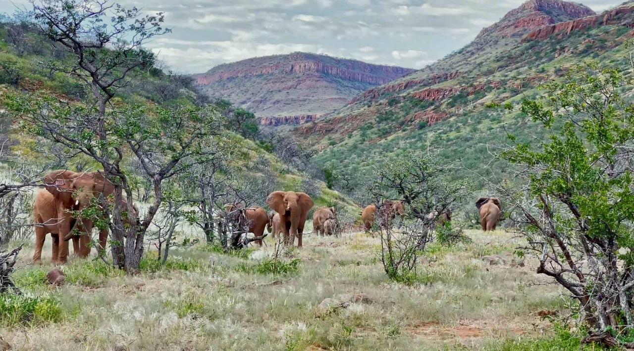 Grootberg Lodge Damaraland Esterno foto