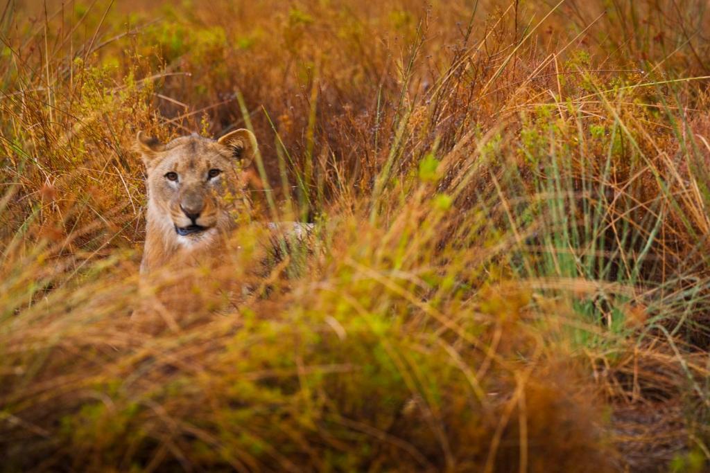 Grootberg Lodge Damaraland Esterno foto